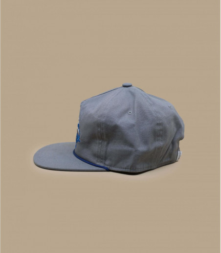 Grey cap Coal Grey cap Coal
